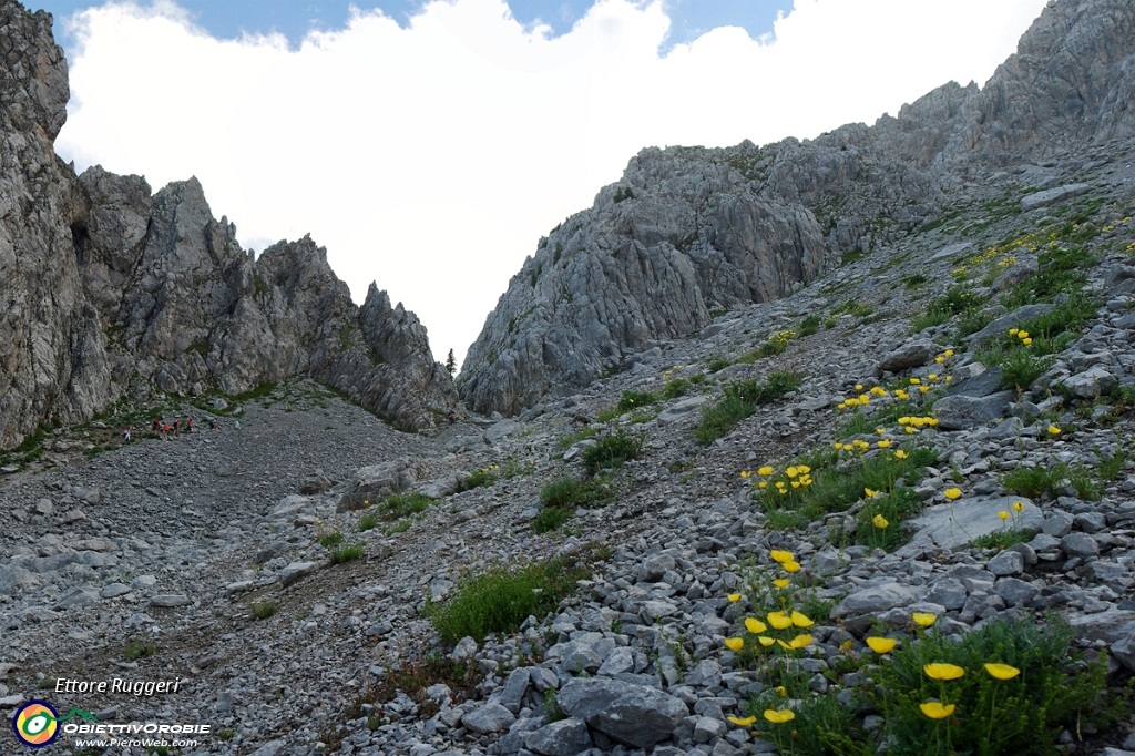 15 - ... sul ghiaione.jpg